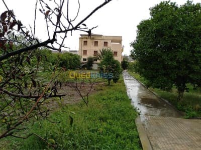 Vente Villa Constantine Hamma bouziane