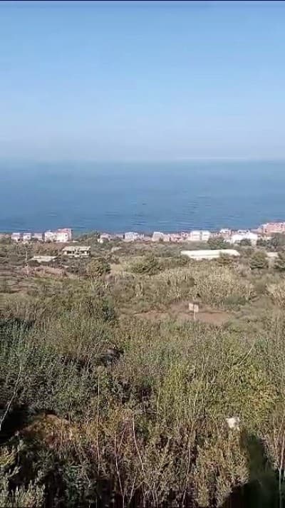 Vente Terrain Béjaïa Beni ksila