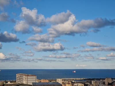 Vente Terrain Alger Kouba
