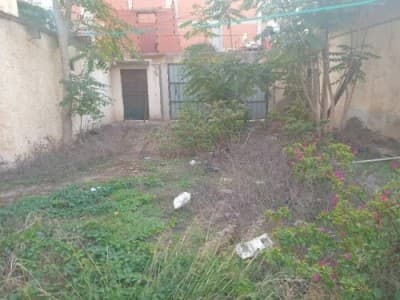 Vente Terrain Alger Bordj el kiffan