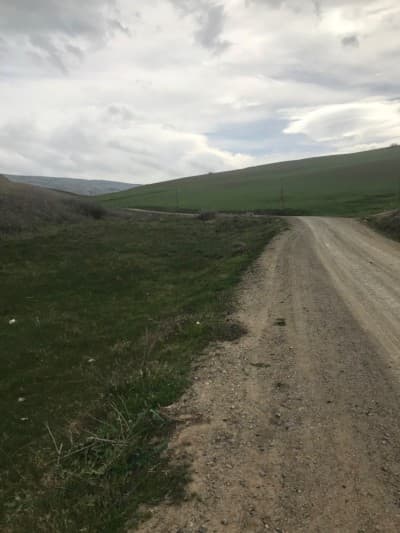 Vente Terrain Agricole Ain defla Hoceinia