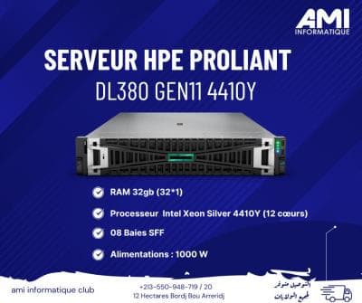 SERVEUR HPE PROLIANT DL380 G11 4410Y