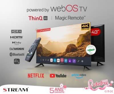 TELEVISEUR STREAM WEB OS