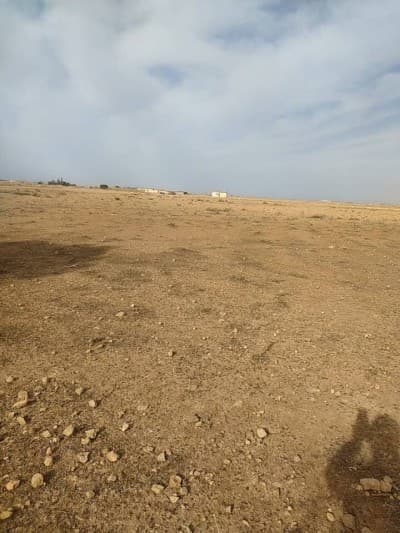 Vente Terrain Agricole Djelfa Hassi fedoul