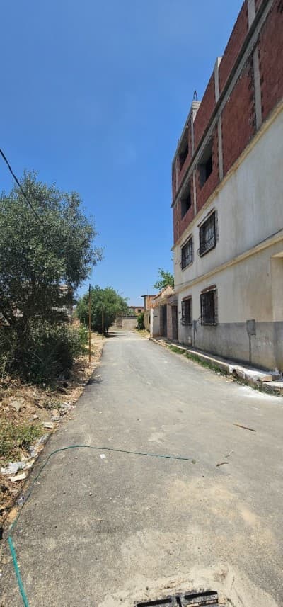 Vente Terrain Alger Birtouta