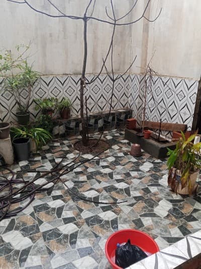 Location Appartement F3 Tipaza Bou ismail