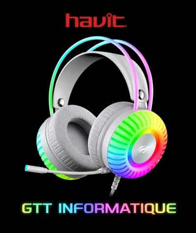 CASQUE HAVIT GAMER H2046U