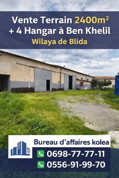 Vente Hangar - Usine Blida Ben khellil