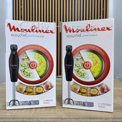 MOULINEX Pied mixeur plongeant EasyChef 2 vitesses 450W Inox ZELKROM avec verre doseur Noir DD451810