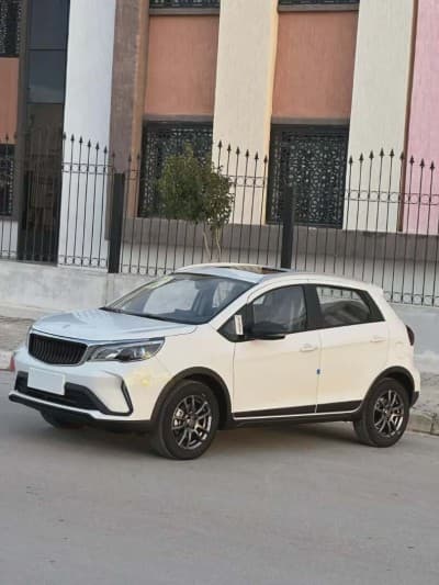 Livan X3 Pro 2026 Automatique (Avec toi ouvrant )