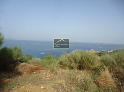Vente Terrain Béjaïa Bejaia