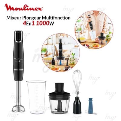 Bras Mixeur Plongeur Multifonction 4En1 1000W InfinyForce Powelix Moulinex DD944810
