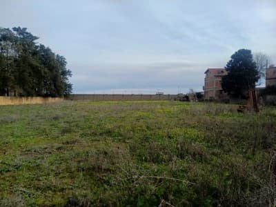 Vente Terrain Boumerdès Hammedi