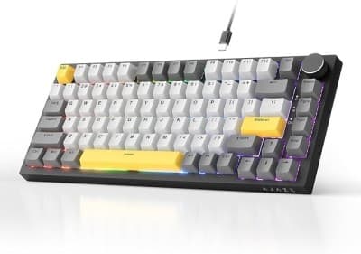 AJAZZ AK820 Wired Mechanical 75%