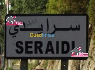 Vente Terrain Annaba Seraidi