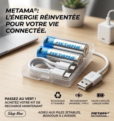 Les piles lithium ion rechargeables AA #R6 type C