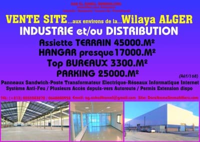 Vente Terrain Alger Tessala el merdja