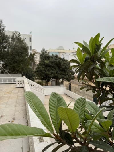 Location Villa Alger Hydra
