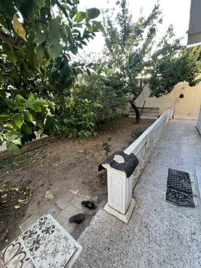Vente Villa Blida Ouled yaich