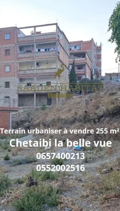 Vente Terrain Annaba Chetaibi