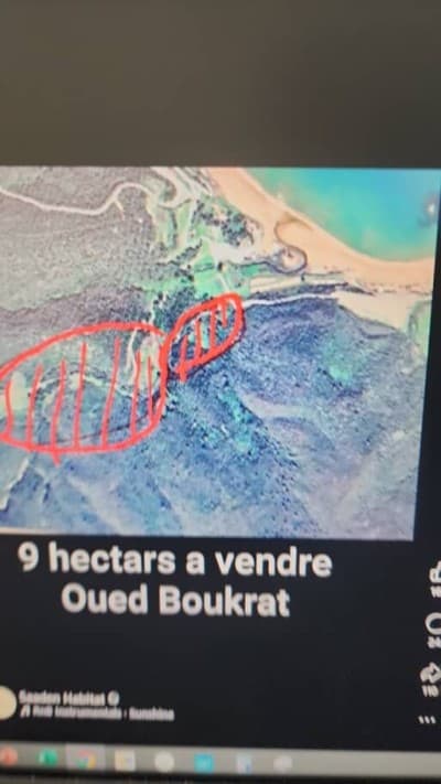 Vente Terrain Annaba Annaba