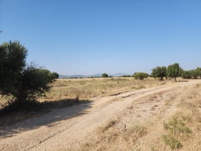 Vente Terrain Agricole Annaba Barrahel