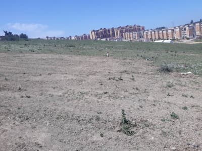 Vente Terrain Alger Douera