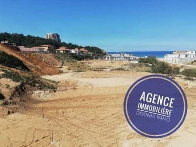 Vente Terrain Skikda Filfla