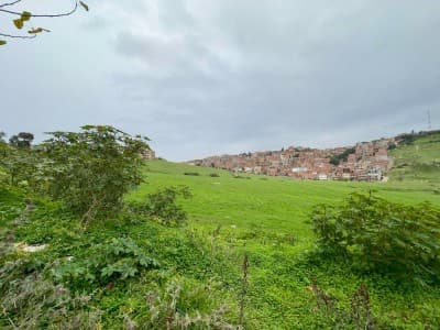 Vente Terrain Alger Khraissia