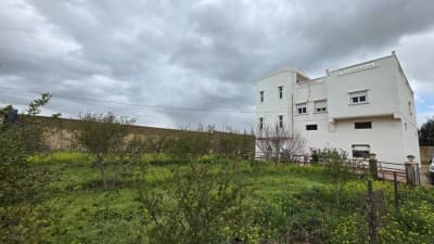 Vente Terrain Agricole Mostaganem Sirat