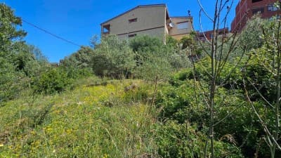 Vente Terrain Béjaïa Oued ghir