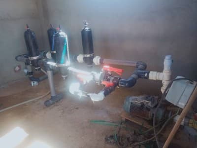 Vente Terrain Agricole Djelfa Birine