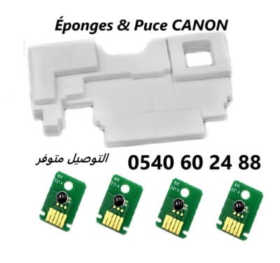 Eponge Et Puce De Réinitialisation Canon G2420, G3420, G2430, G3430 MC-G02 MC-G04