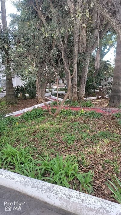 Vente Terrain Alger Hammamet