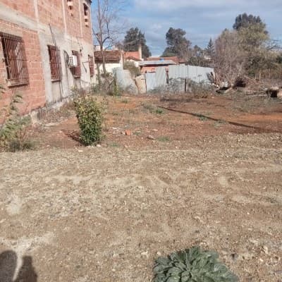Vente Terrain Tipaza Hadjout
