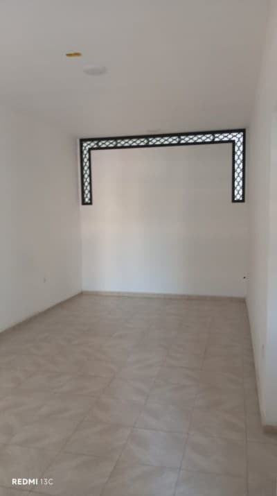 Vente Local Alger Les eucalyptus