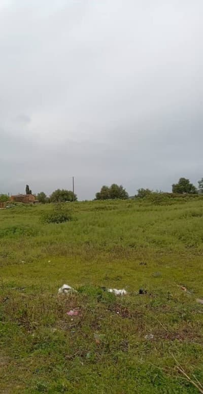 Vente Terrain Tizi Ouzou Tadmait