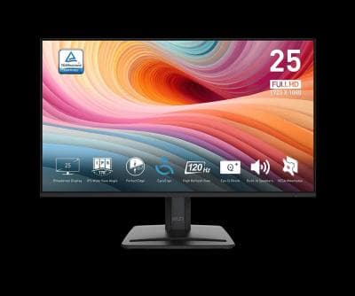 MSI 25 PRO MP251 E2 Full HD 1080p 120Hz IPS Panel speakers