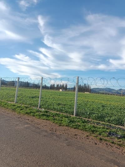 Vente Terrain Agricole Tipaza Ahmar el ain