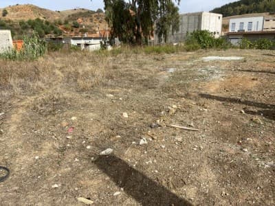 Vente Terrain Agricole Constantine Zighoud youcef