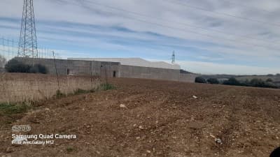 Vente Terrain Boumerdès Hammedi