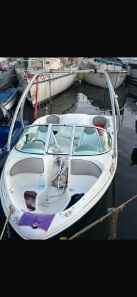 Sea ray 176