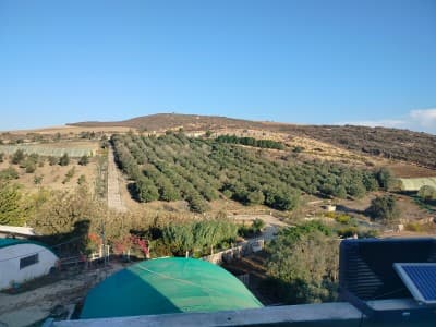 Vente Terrain Agricole Oran Ain el kerma