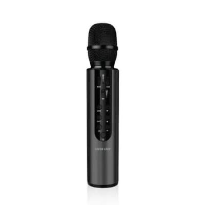 Microphone Karaoke Green Lion