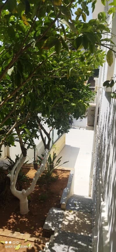 Location Villa Alger El mouradia