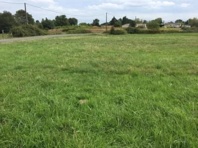 Vente Terrain Boumerdès Tidjelabine