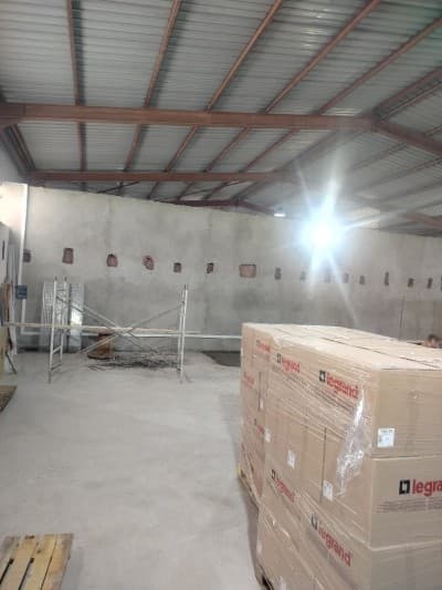 Location Hangar Alger Les eucalyptus