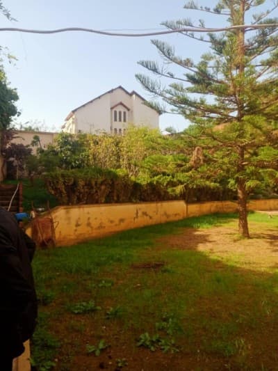 Vente Villa Alger Draria
