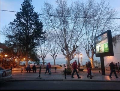 Vente Terrain Alger El mouradia