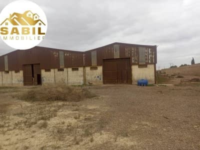Vente Terrain Oran Oran
